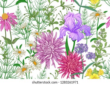 Seamless summer pattern. Wild flowers chamomile, herbs, aster, iris. Floral decoration for printing on wallpaper, paper, textiles, fabrics. Hand drawing sketch. Fashion illustration. White background