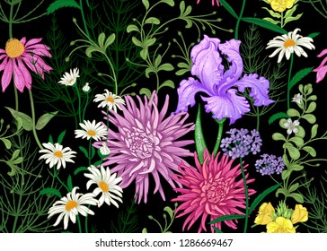 Seamless summer pattern. Wild flowers chamomile, herbs, aster, iris. Floral decoration for printing on wallpaper, paper, textiles, fabrics. Hand drawing sketch. Fashion illustration. Black background.