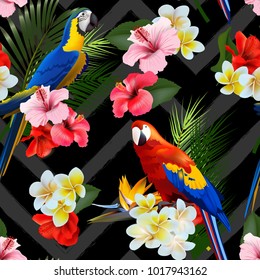 Fondo tropical de veraneo inexpugnable con flores tropicales y loros coloridos. Ilustración vectorial.