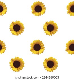 seamless sunflower print. colorful summer print wit sunflowers. sunflower wallpaper, background.