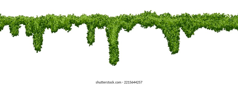 Seamless swamp moss texture on white background. Top of fence or wall with climbing plants. Bush line. Forest lichen. Vector illustration