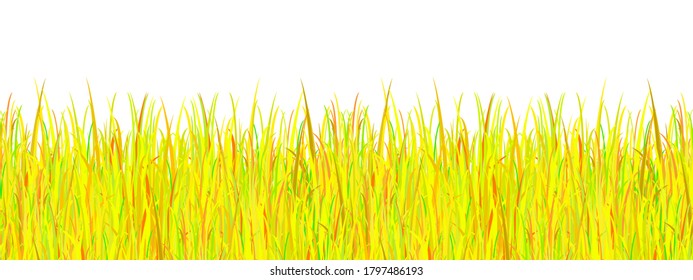 Nahtlose Textur Herbst das Gras. Vektorgrafik.