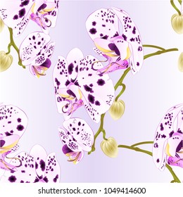 Seamless texture beautiful  Orchid dots white and purple stem with flowers and  buds closeup isolated vintage  vector editable illustration hand draw

