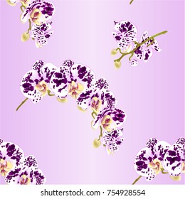 Seamless texture beautiful  Phalaenopsis Orchid spotted white and purple stem with flowers and  buds   vintage  vector closeup editable illustration hand draw