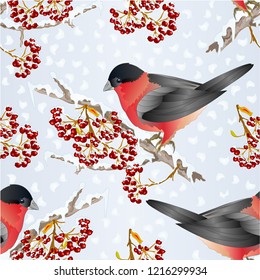 Seamless texture bird bullfinch small songbirdon on on snowy tree and berry winter background vintage vector illustration editable hand draw
