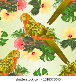 
Seamless texture bird Sun Conure Parrot , home pet , parakeet  on a branch bouquet with tropical flowers hibiscus, palm,philodendron on a white background vintage vector illustration editable 