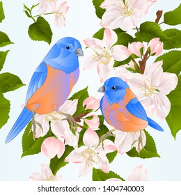 
Seamless texture birds Bluebirds  thrush small songbirdons on an apple tree branch with flowers spring background vintage vector illustration editable hand draw
