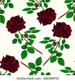 Seamless texture Black Rose with bud stem cracks in the porcelain vintage vector illustration