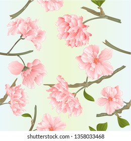 Seamless texture blossoms sakura tvigs  natural spring background vintage vector illustration editable hand draw