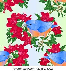 Pájaro movedizo sin textura y vector rododendrón rojo