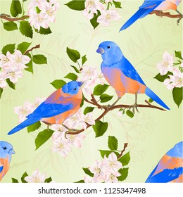 Seamless texture Bluebirds  thrush small songbirdons on an apple tree branch with flowers vintage vector illustration editable hand draw