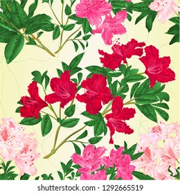 Seamless texture branch light pink pink and red flowers rhododendron  mountain shrub vintage vector illustration editable hand draw