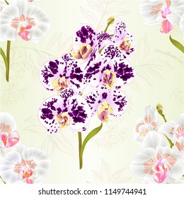 Seamless texture branch orchid Phalaenopsis white and spoted  flowers and leaves tropical plants  stem and buds natural background vintage vector botanical illustration for design editable hand draw