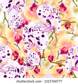 Seamless texture branch orchids dots white and purple and yellow flowers  Phalaenopsis tropical plant nature  background  vintage vector botanical illustration for design hand draw 

