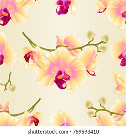 Seamless texture branch orchids flowers  yellow  Phalaenopsis tropical plant  stem and buds  vintage vector botanical illustration for design editable  hand draw 

