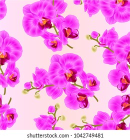 Seamless texture branch orchids purple flowers  tropical plant Phalaenopsis  branch vintage vector botanical illustration for design editable hand draw 