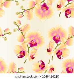 Seamless texture branch orchids yellow flowers  Phalaenopsis tropical plant on a white background  vintage vector botanical illustration for design hand draw 