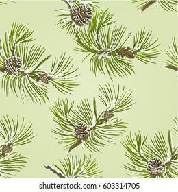 Seamless texture branch Pine tree with pine cones and snow vector illustration