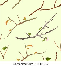 Seamless texture branch various Sprigs twig tree and bush vector illustration 