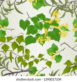 Seamless texture branches linden Willow  with catkins and birch branch natural spring background vintage vector illustration editable hand draw
