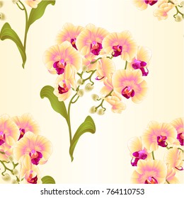 Seamless texture branches orchid Phalaenopsis yellow flowers tropical plants green stem and buds and leaves  vintage vector botanical illustration  editable hand draw 