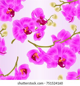 Seamless texture branches orchids flowers  purple Phalaenopsis tropical plant  stems and buds  vintage vector botanical illustration for design hand draw 
