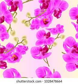 Seamless texture branches orchids purple flowers  tropical plant Phalaenopsis  on a white background vintage vector botanical illustration for design hand draw 
