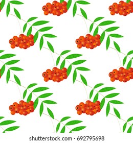 Seamless texture of the branches of red mountain ash on a white background