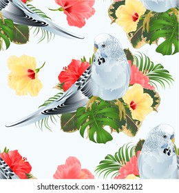 Seamless texture Budgerigar, blue pet parakeet  and hibiscus  on a tropical background vintage vector illustration editable hand draw