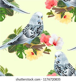 Seamless texture Budgerigar, home pet ,blue pet parakeet  on a branch bouquet with tropical flowers hibiscus, palm,philodendron  vintage vector illustration editable hand draw