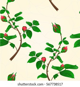Seamless texture buds of climbing red rose  stem with leaves and bud cracks in the porcelain vintage vector illustration