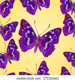 Seamless texture butterfly Apatura iris  vector illustration 