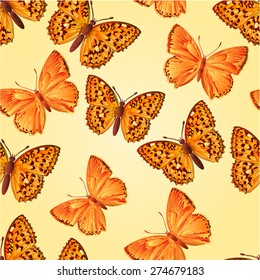 Seamless texture butterfly Lycaena virgaureae  and Argynnis aglaja vector illustration 