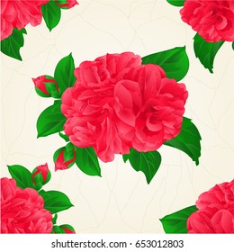 Seamless texture Camellia Japonica red flowers with buds vintage hand draw vector botanical illustration for design 
