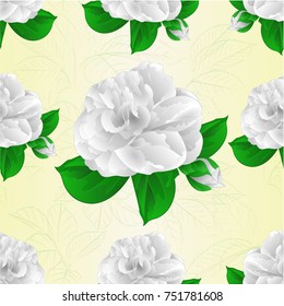 Seamless texture camellia Japonica white flower with bud vintage  vector illustration editable hand draw
