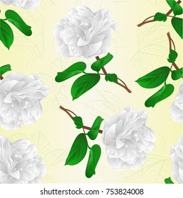 Seamless texture Camellia Japonica white flowers  vintage  vector illustration editable hand draw