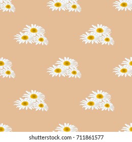 Seamless texture. Chamomile on a beige background