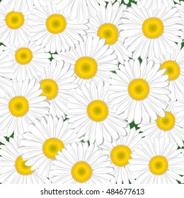 Seamless texture of chamomile on a green background
