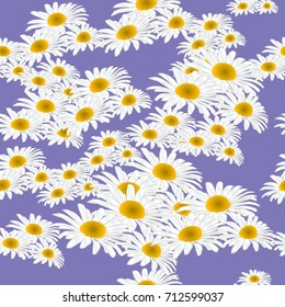 Seamless texture. Chamomile on a purple background