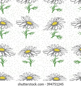 Seamless texture with chamomiles. Vector chamomile illustration. 