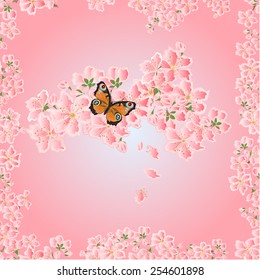 Seamless texture cherry blossoms and butterfly Spring  background vector illustration 