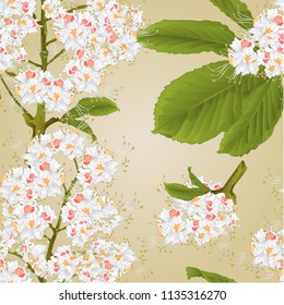 Seamless texture Chestnut tree flowers with leaves spring background vintage vector illustration editable hand draw