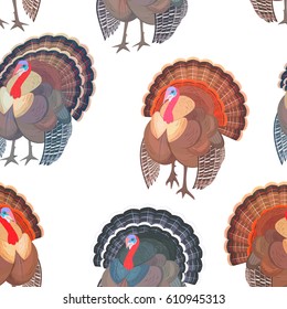 seamless texture with collection wild turkeys for your design