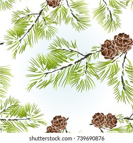 Seamless texture conifer Branch Pine  with pine cones  winter snowy natural background vector illustration editable hand draw