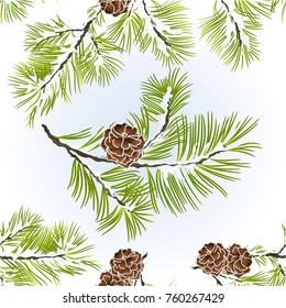 Seamless texture conifer Branches Pine  with pine cones  winter snowy natural background vector illustration editable