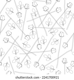 Seamless texture with contours of roses from black lines isolated on a white background. Texture with flowers. Vector illustration.
