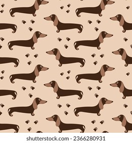 Seamless texture with cute dachshunds. Vector wallpaper with cute dogs and paw print. Domestic animals texture. svg