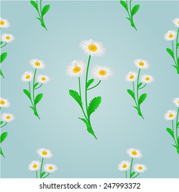 Seamless texture daisy spring blue background vector illustration 