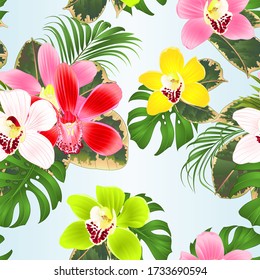 Seamless texture decoration palm house plant  tropical plant natural on a white background watercolor vintage vector illustration editable hand drawn 
