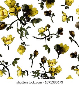 seamless texture depicting elements of a flowering cochlospermum tree with yellow flower buds and leaves, sketch vector graphics color drawing in lines on a white background